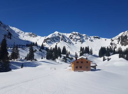 Schneeschuhwandern "Aktiv" Österreich